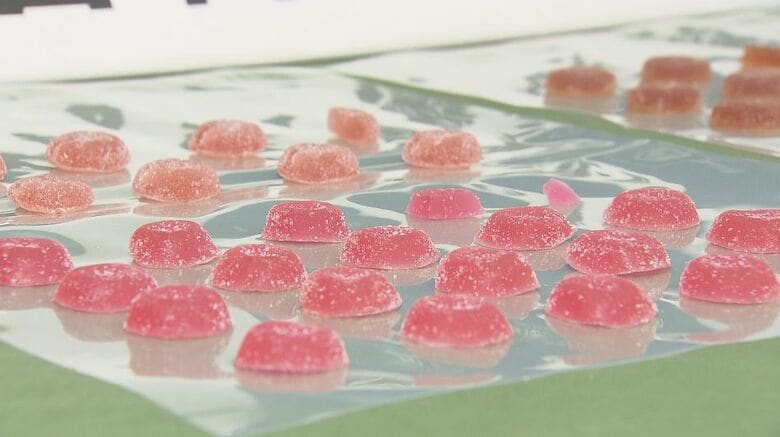 成田空港で90粒の「大麻グミ」発見　アメリカ国籍の33歳男を輸入の疑いで逮捕　自己使用の目的と容疑認める｜FNNプライムオンライン