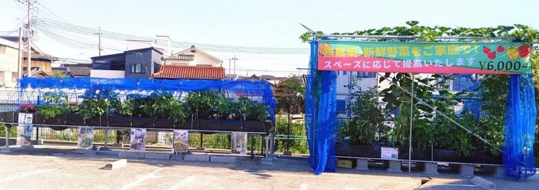 テクノシンセイのモデル農園(提供:テクノシンセイ)