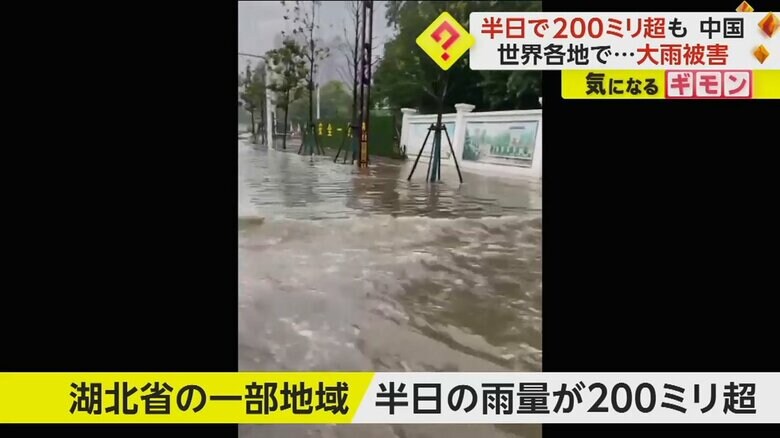 (中国SNS)