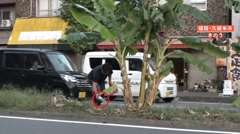 水やりだけでなく、ゴミ拾いも