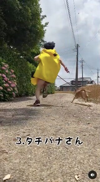 提供：タチバナさんの毎日ルーティン