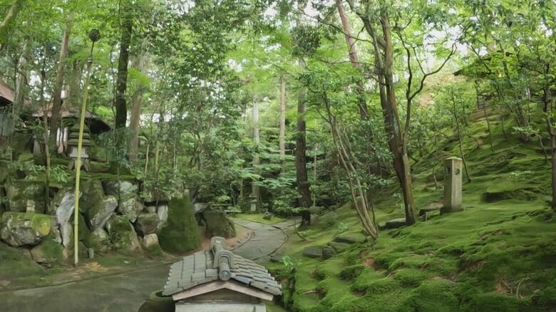 宮崎さんが手入れする庭園