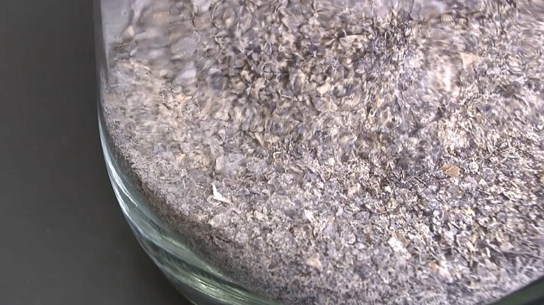 海藻を破砕し乾燥させたもの