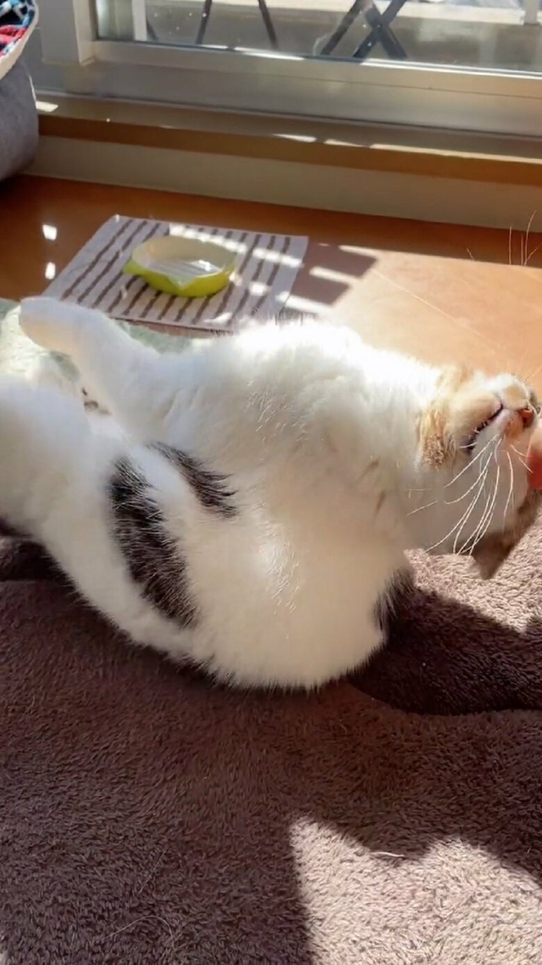 あっ