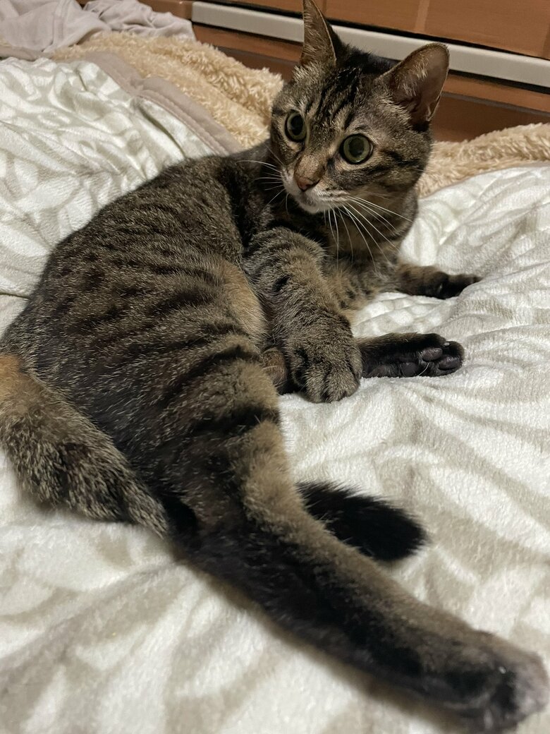 提供：えーさん