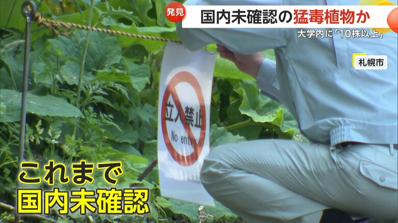 周辺の立ち入りを禁止している北海道大学