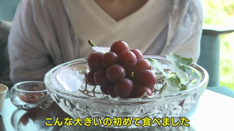 立派な粒にもびっくり