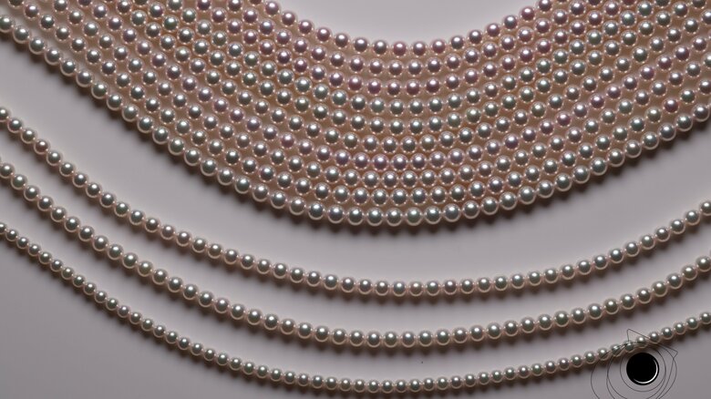 業界一丸となって取り組み、輸出が好調な真珠（日本真珠振興会提供）