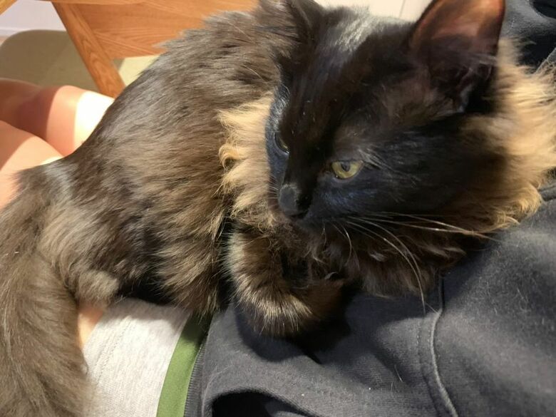 提供：イナタマグラムさん