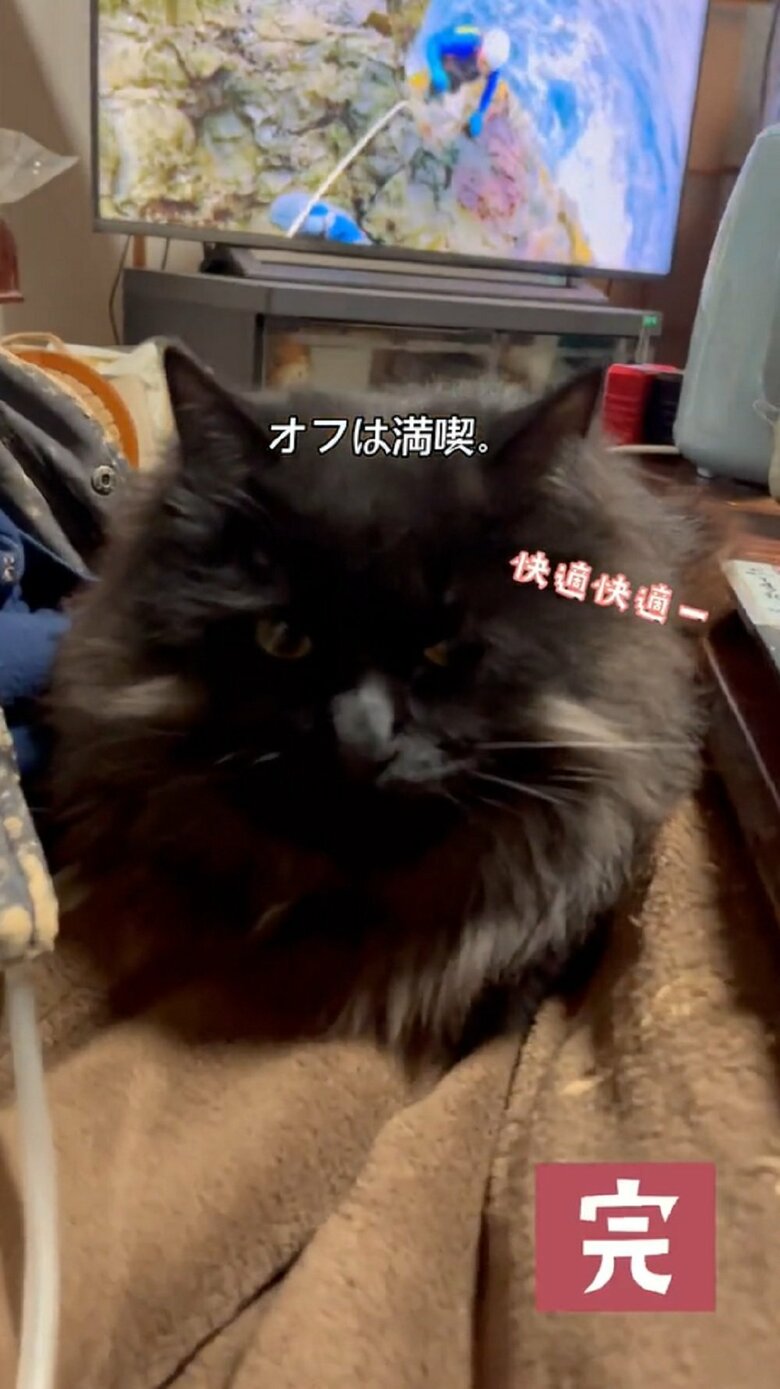 ルーティーン終了