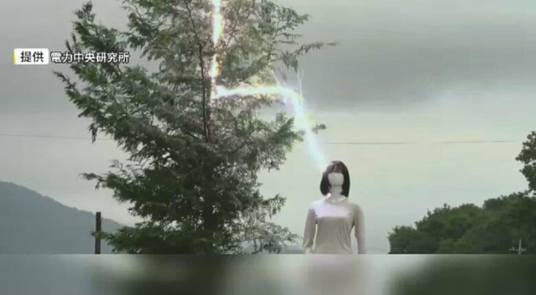 「木の下の雨宿り」に注意(提供：電力中央研究所)
