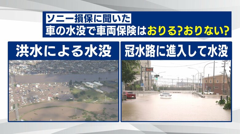 ソニー損保によると車両保険の対象に