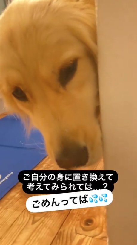 提供：エマさん