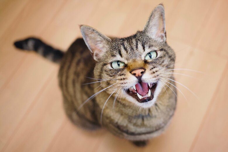 （画像はイメージ）