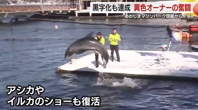 復活したイルカショー