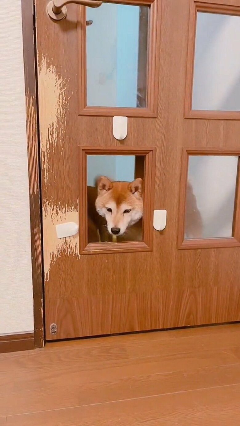 様子をうかがっているムックくん