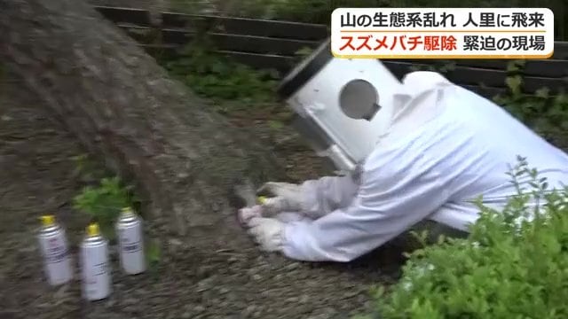 巣穴にスプレーを一気に噴射