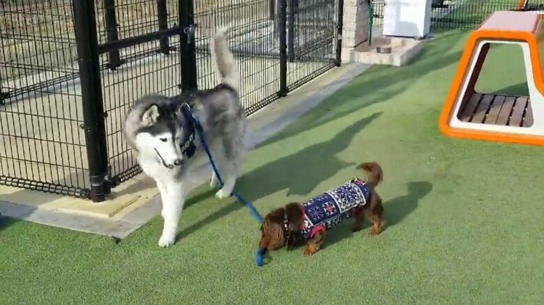 帰宅阻止された時の様子　その3