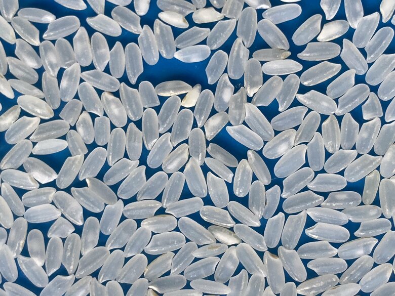 輸入米の代表格であるカリフォルニア米（筆者撮影）