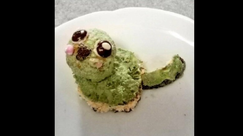 つぶらな目がポイント