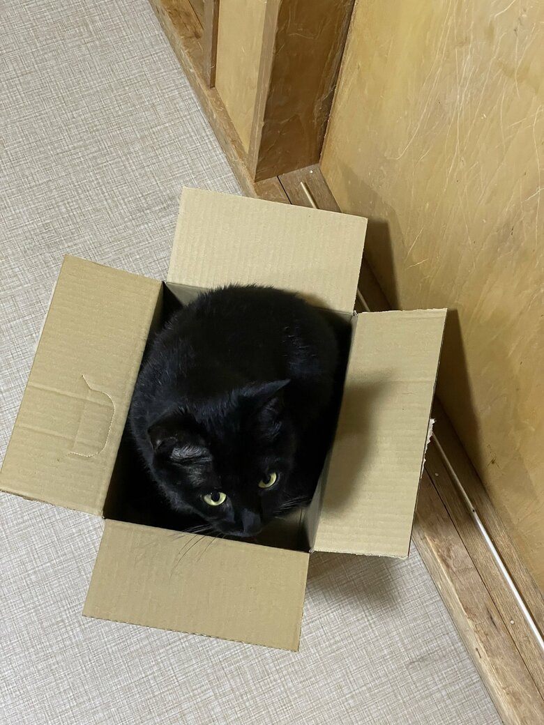 提供：マクーさん