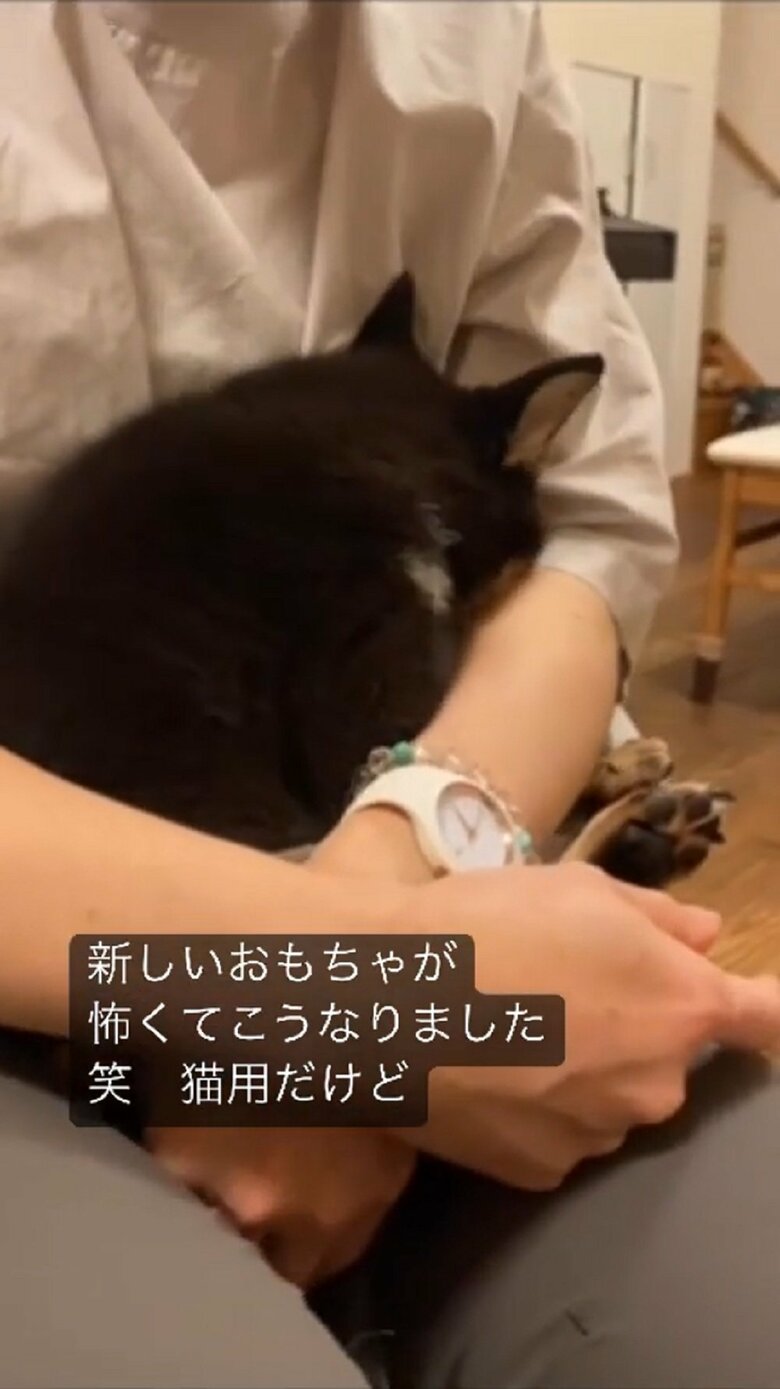 顔をうずめてしまう