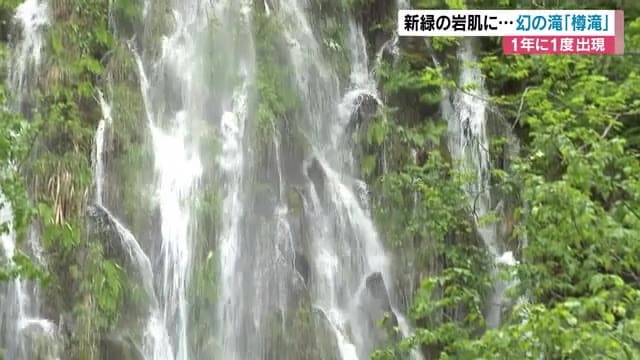 1年に1度だけ現れる幻の滝「樽滝」　落差約50メートル　毎秒100リットル　長野県木島平村　