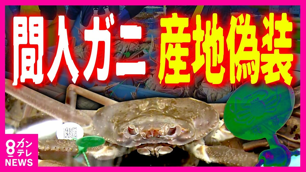 食の安全性 産地偽装から風評被害まで Amazon.co.jp: 食の安全性 産地偽装から風評被害まで : おもちゃ