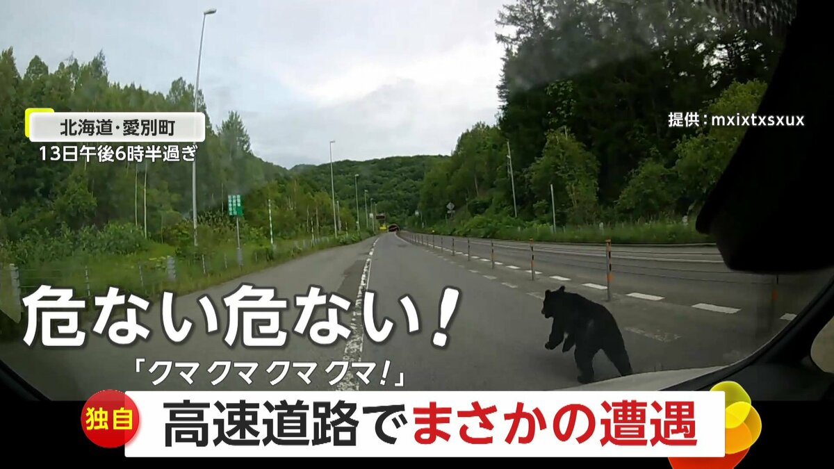 走行中の軽トラックにヒグマが体当たり、ワイパー破損・フロント