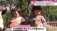 開園早めても最大1時間半待ちの賑わい　GWのアフリカンサファリ　動物と触れ合い「ふわふわした」　大分