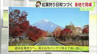 晴れつづき「乾燥」　19日は冬の寒さ【静岡・ただいま天気　11/18】