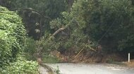 【中継】台風25号による生活への影響が長期化　崩れた土砂が電線巻き込み道路に流出　断水や停電続く　千葉・市原市