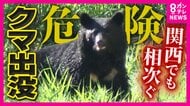 クマ“空白地”にも出没…「夢にも思わなかった」と目撃者 去年まで目撃なしの京都・木津川市で相次ぐ目撃情報 「オリで捕まえてどこへ持って行くねん」ノウハウ足りず対応に苦慮