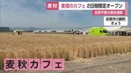 麦畑の中にカフェ 収穫前の2日間限定オープン 佐賀平野の麦秋満喫 地元産の野菜販売も【佐賀県】