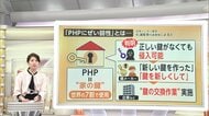 【解説】世界の7割使用の「PHP」に欠陥　不正アクセス防ぐ“新しい鍵”に交換が必要　ウェブサイト停止で混乱相次ぐ