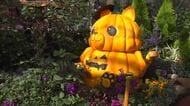 温室に入るとハロウィンの世界　坂井市の県総合グリーンセンター「タマネギハウス」が特別仕様に　11月15日まで