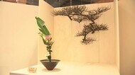 華道?池坊福井中央支部の設立記念し作品展 會員の作品70點を展示 【福井県】