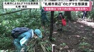 ヒグマ「5年で2倍…31頭」