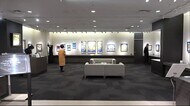カエルや動物が躍動!秋田市の画家・小山内愛美さんの個展 都内で開催