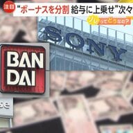 ボーナスの“給与化”で年収アップも！ソニーグループなど大手企業が相次ぎ「報酬制度見直し」専門家「計画的な貯蓄の意識必要」