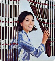 あのジャラジャラって何のため？昭和世代には懐かしい「珠のれん」…最後の製造会社に聞いた