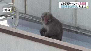 エサを求めてエスカレート サルが家の中に侵入…どうすれば