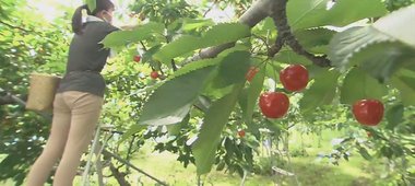 副業で本業のスキルもアップ。感染拡大に苦しむ地方で進む“副業のススメ”