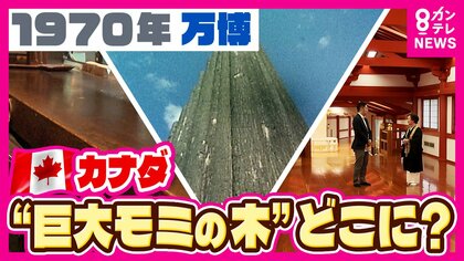 1970年大阪万博『レガシー』パビリオンが集会所・ラーメン店・お寺で活用　開催中の大阪・関西万博では「大屋根リング」出品中　財力と土地をお持ちの方はぜひ入札を？