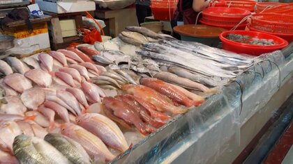 【速報】日本産水産物の禁輸を解除へ　中国側が段階的に実施と発表　中国産魚介類の価格も上昇　“海鮮離れ”に不満も