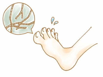 【武蔵野大学・明治薬科大学・帝京大学 共同プレスリリース】白癬菌の爪における増殖を抑制する新たな分子標的を発見