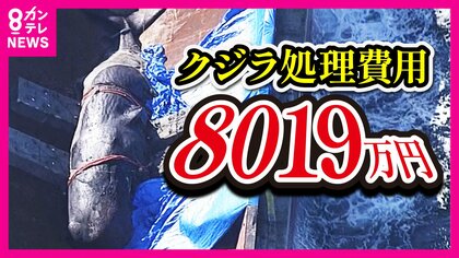 「金を積まんと話にならん」クジラ「8000万円の処理費」の交渉記録　港湾局の課長と業者が会食も