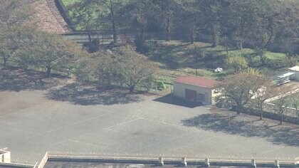 小学1年生ら22人ハチに刺され搬送も全員意識あり軽傷…生活科の授業中に畑で落ち葉拾い　東京・青梅市の今井小学校