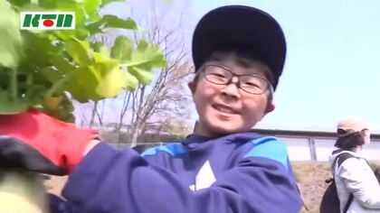 育てた野菜で「豚バラ大根」　野菜の消費拡大目指す「ラブベジ」の取り組みで子供たちがダイコン収穫