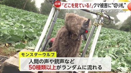 クマ対策の“切り札”野生動物撃退装置「モンスターウルフ」山形市で実証 